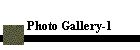 Photo Gallery-1