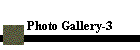 Photo Gallery-3
